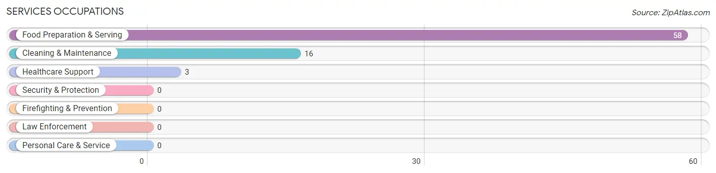 Services Occupations in Zip Code 78873