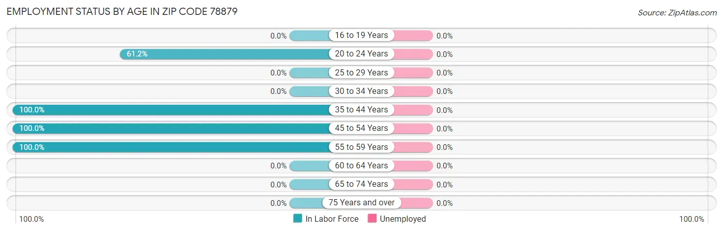 Employment Status by Age in Zip Code 78879