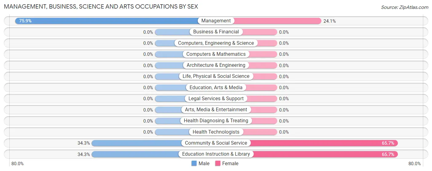 Management, Business, Science and Arts Occupations by Sex in Zip Code 78880