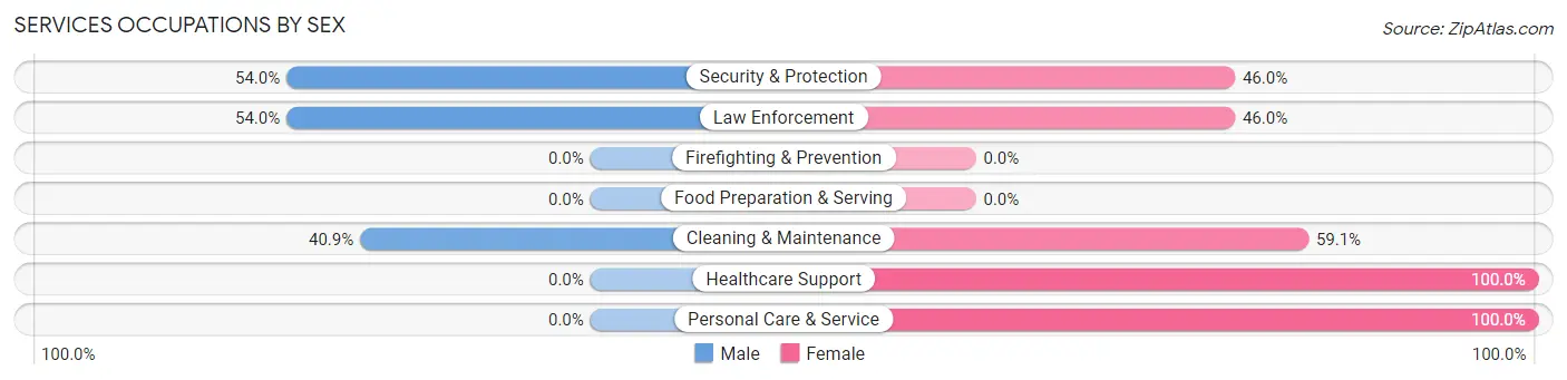 Services Occupations by Sex in Zip Code 78881