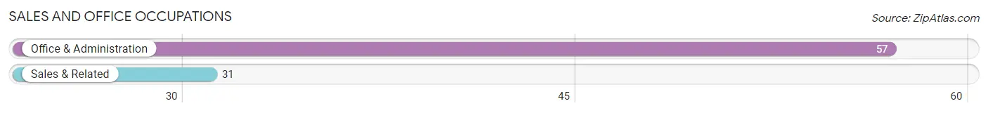 Sales and Office Occupations in Zip Code 79019