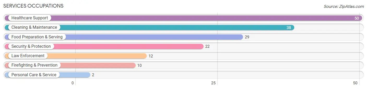 Services Occupations in Zip Code 79019