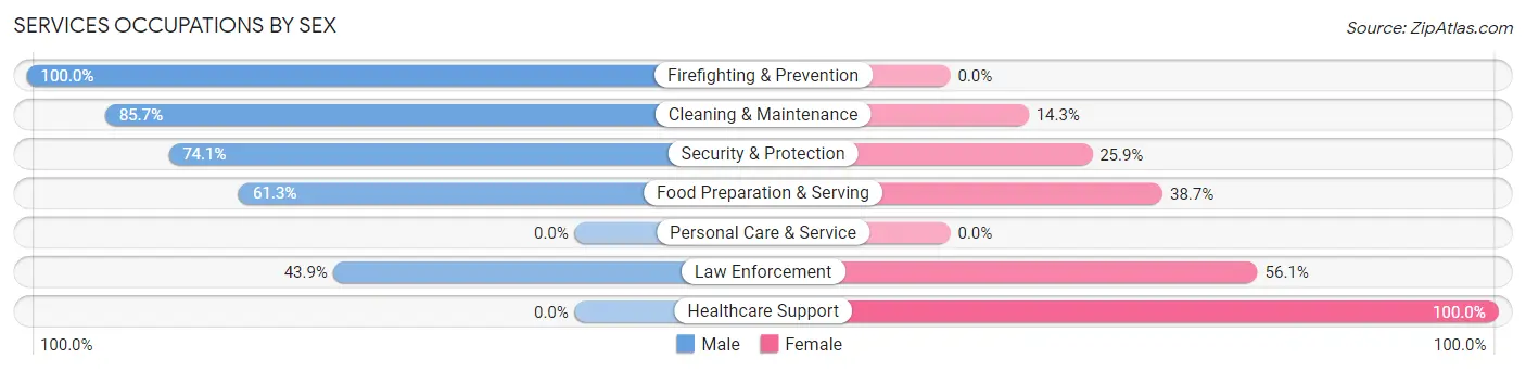 Services Occupations by Sex in Zip Code 79027