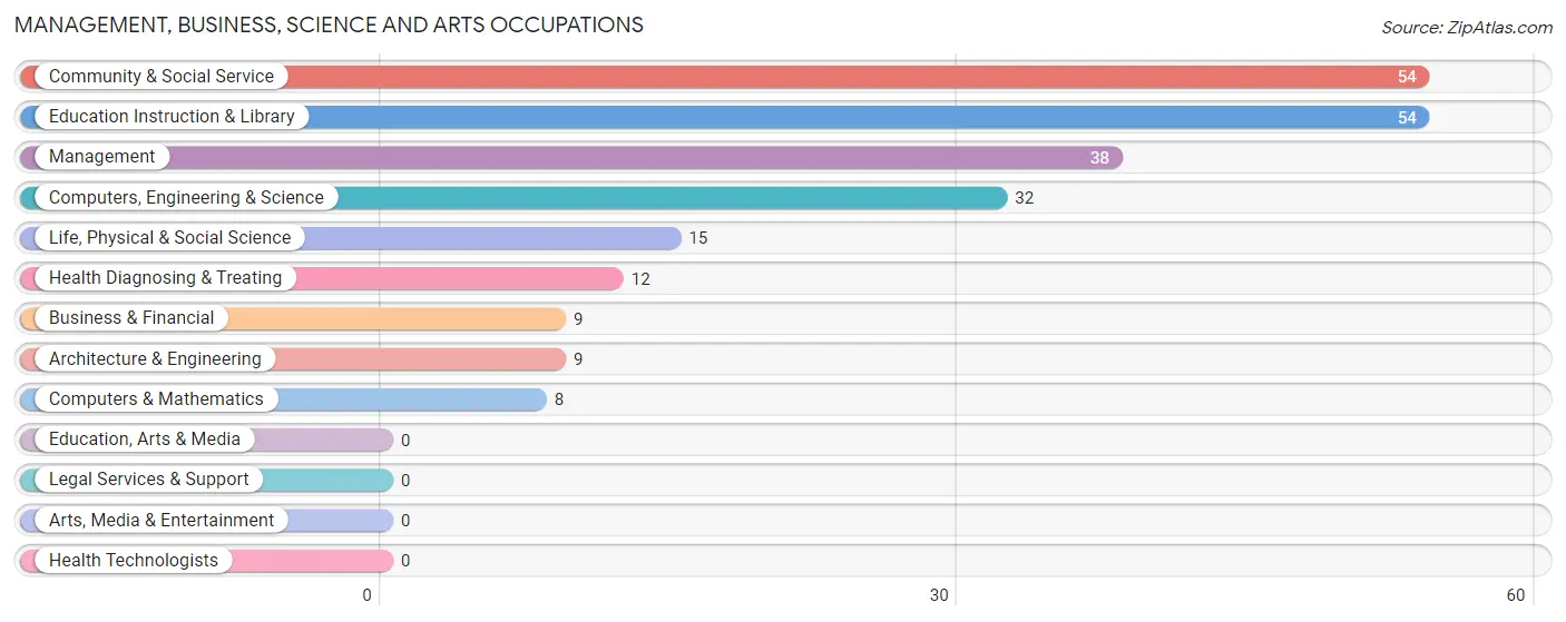 Management, Business, Science and Arts Occupations in Zip Code 79031