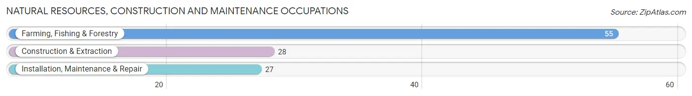 Natural Resources, Construction and Maintenance Occupations in Zip Code 79031