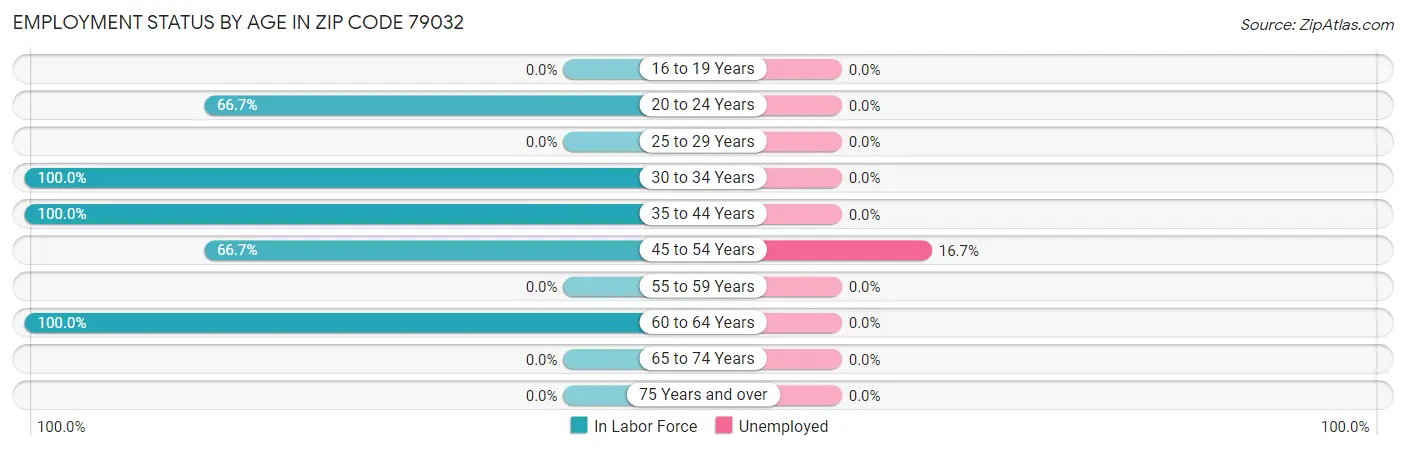 Employment Status by Age in Zip Code 79032