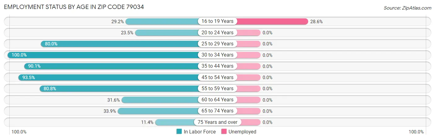 Employment Status by Age in Zip Code 79034