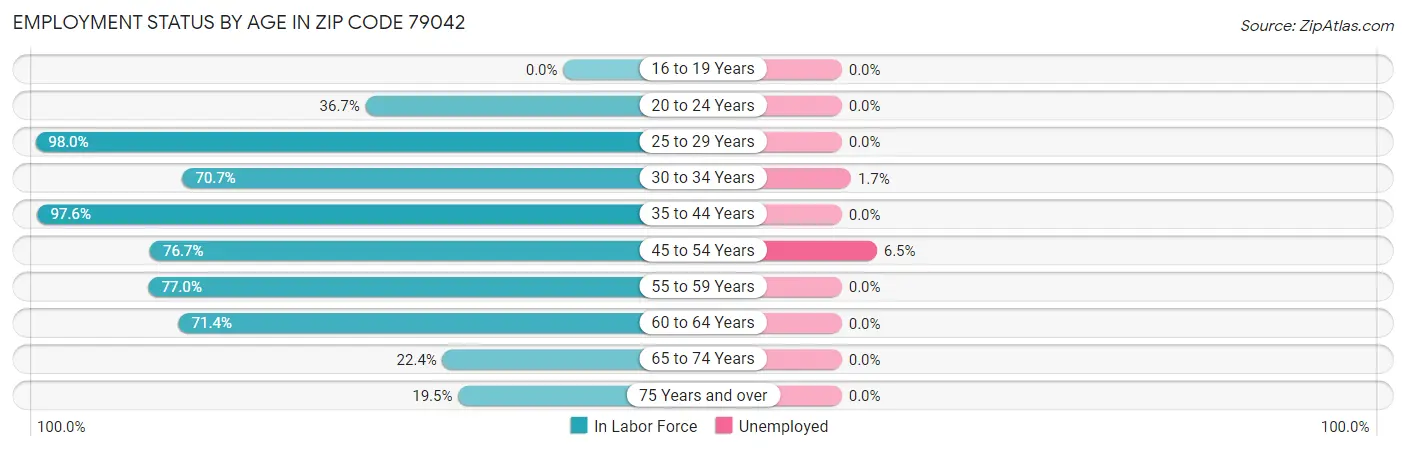 Employment Status by Age in Zip Code 79042