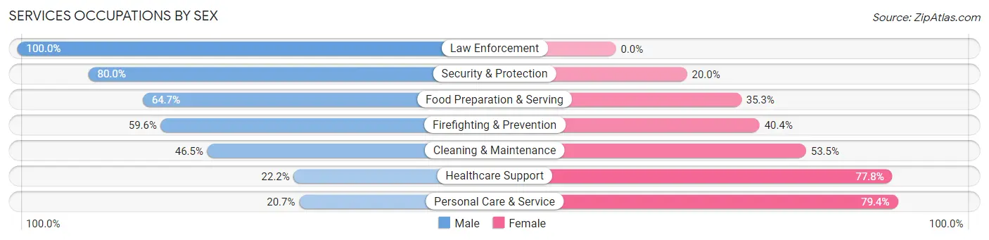 Services Occupations by Sex in Zip Code 79045
