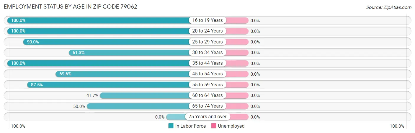 Employment Status by Age in Zip Code 79062