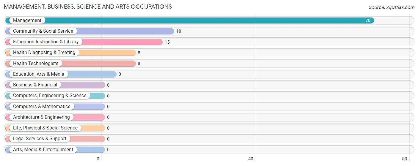 Management, Business, Science and Arts Occupations in Zip Code 79062