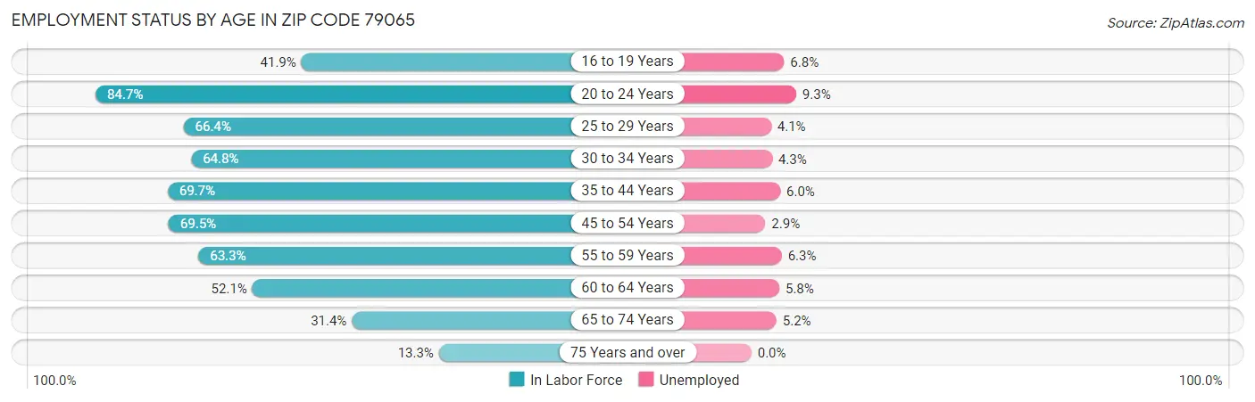 Employment Status by Age in Zip Code 79065