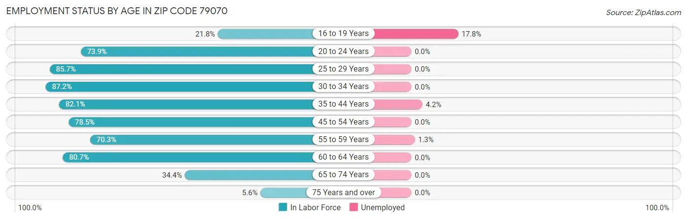 Employment Status by Age in Zip Code 79070