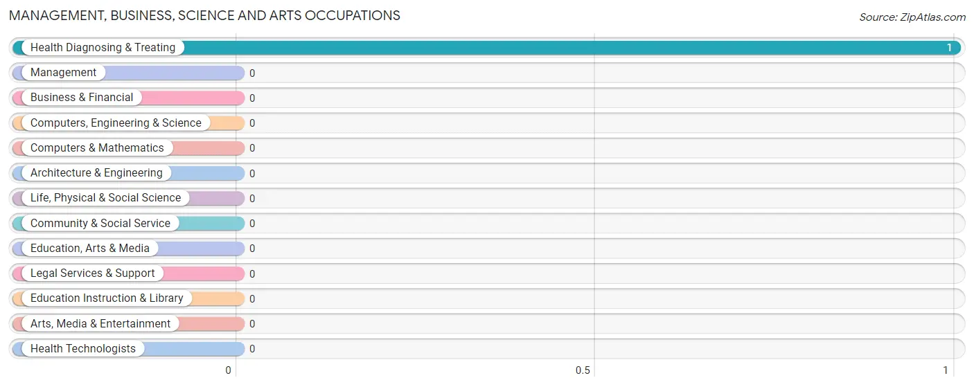 Management, Business, Science and Arts Occupations in Zip Code 79078