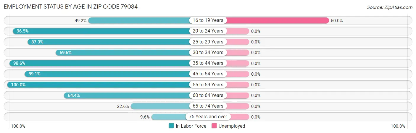 Employment Status by Age in Zip Code 79084