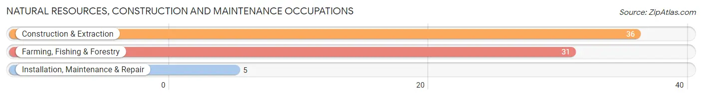 Natural Resources, Construction and Maintenance Occupations in Zip Code 79084