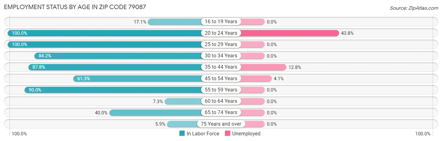 Employment Status by Age in Zip Code 79087