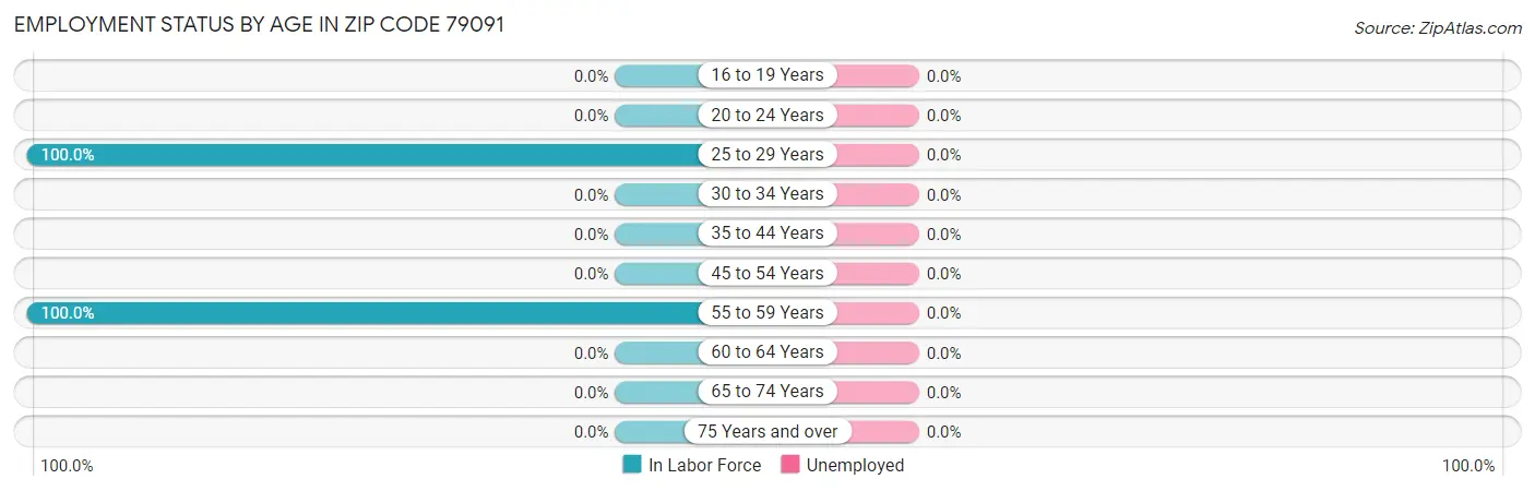 Employment Status by Age in Zip Code 79091