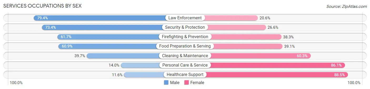 Services Occupations by Sex in Zip Code 79106