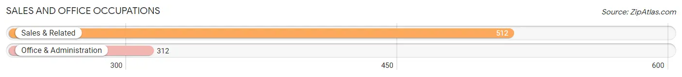 Sales and Office Occupations in Zip Code 79124