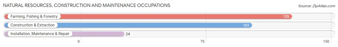 Natural Resources, Construction and Maintenance Occupations in Zip Code 79226