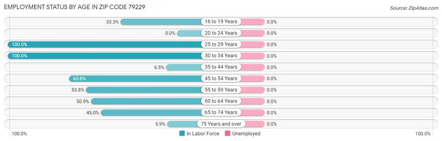 Employment Status by Age in Zip Code 79229