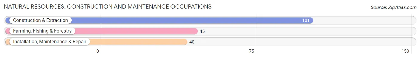 Natural Resources, Construction and Maintenance Occupations in Zip Code 79311