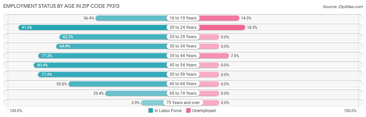 Employment Status by Age in Zip Code 79313