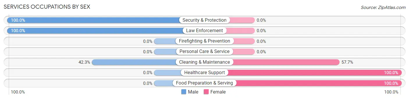 Services Occupations by Sex in Zip Code 79346