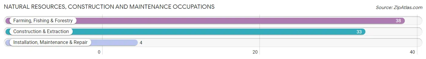 Natural Resources, Construction and Maintenance Occupations in Zip Code 79351