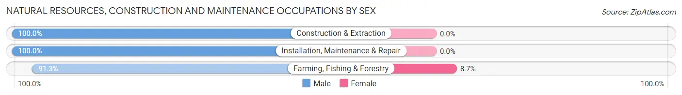Natural Resources, Construction and Maintenance Occupations by Sex in Zip Code 79360