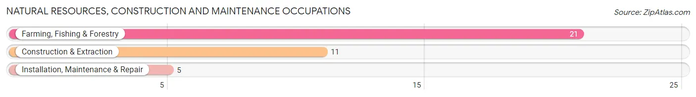 Natural Resources, Construction and Maintenance Occupations in Zip Code 79367