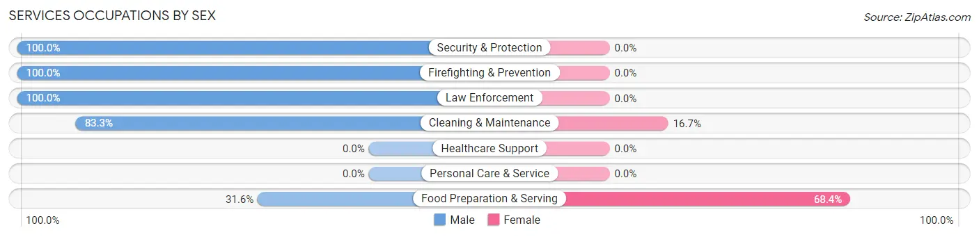 Services Occupations by Sex in Zip Code 79370