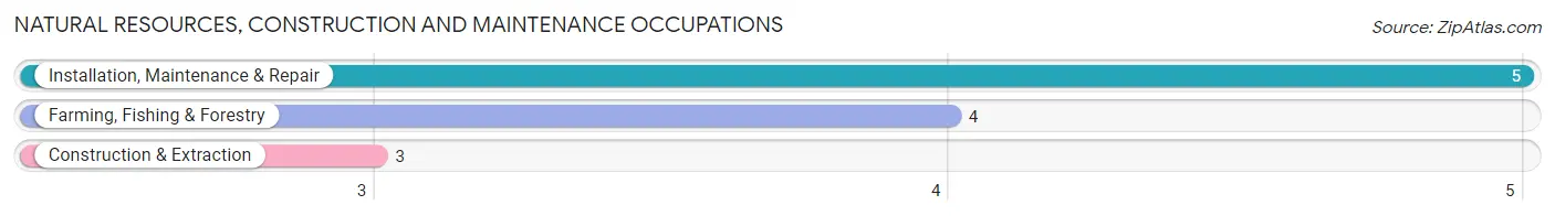 Natural Resources, Construction and Maintenance Occupations in Zip Code 79380