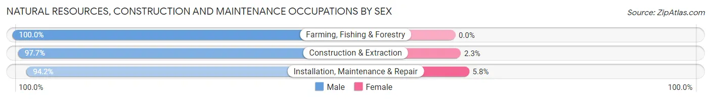 Natural Resources, Construction and Maintenance Occupations by Sex in Zip Code 79416