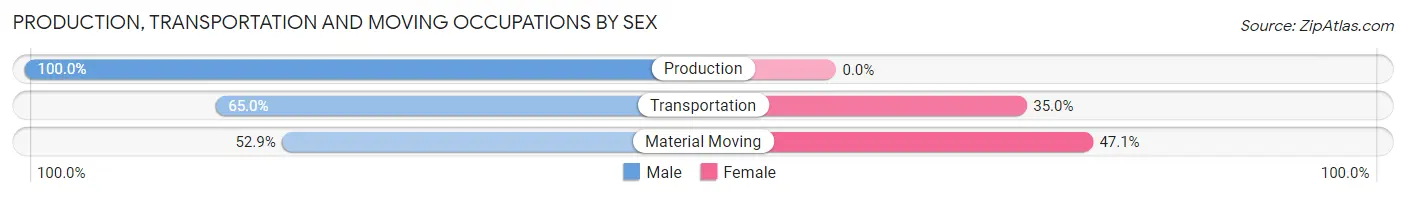 Production, Transportation and Moving Occupations by Sex in Zip Code 79502