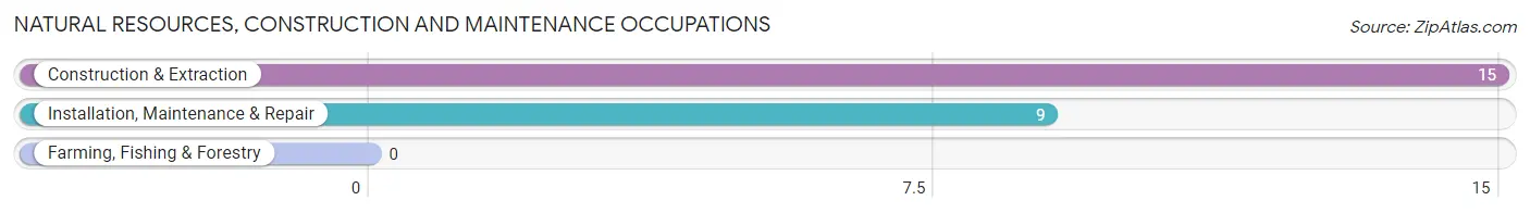 Natural Resources, Construction and Maintenance Occupations in Zip Code 79508