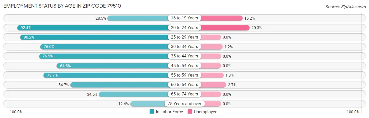 Employment Status by Age in Zip Code 79510