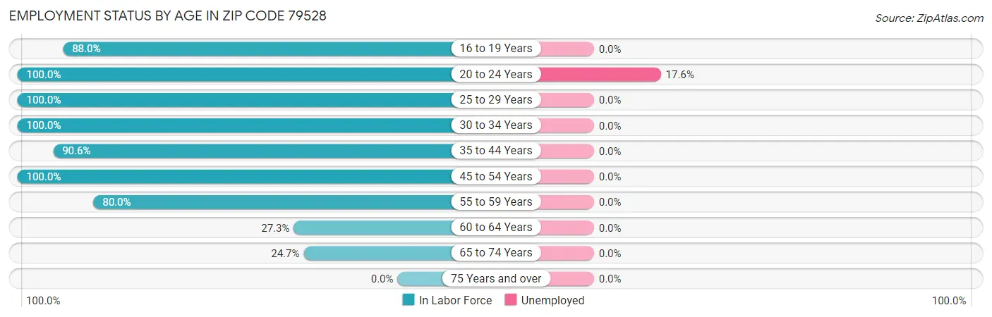 Employment Status by Age in Zip Code 79528