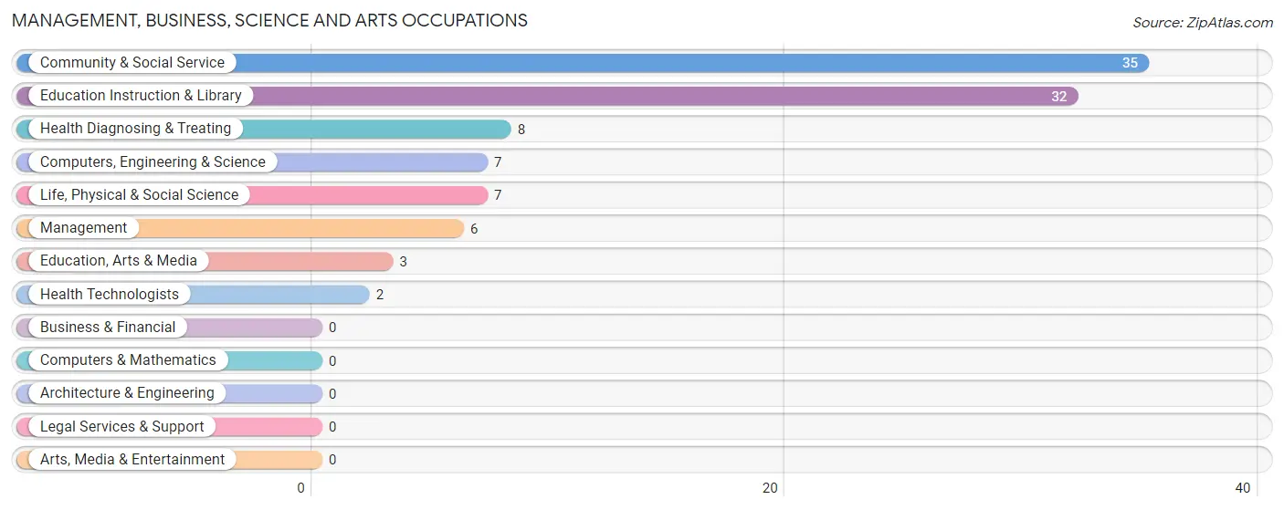 Management, Business, Science and Arts Occupations in Zip Code 79528