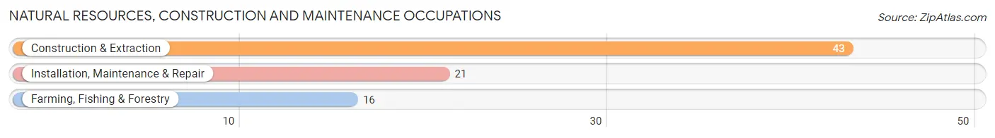 Natural Resources, Construction and Maintenance Occupations in Zip Code 79530