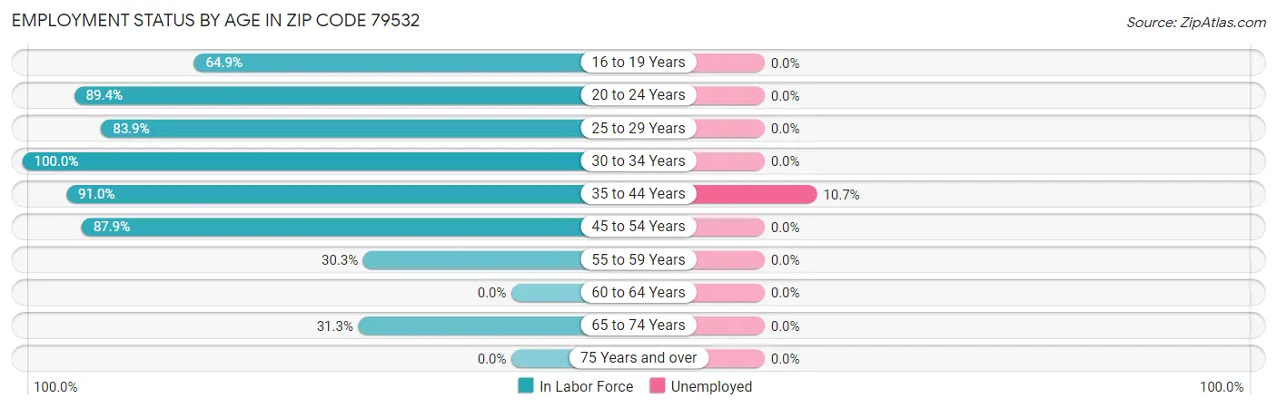 Employment Status by Age in Zip Code 79532