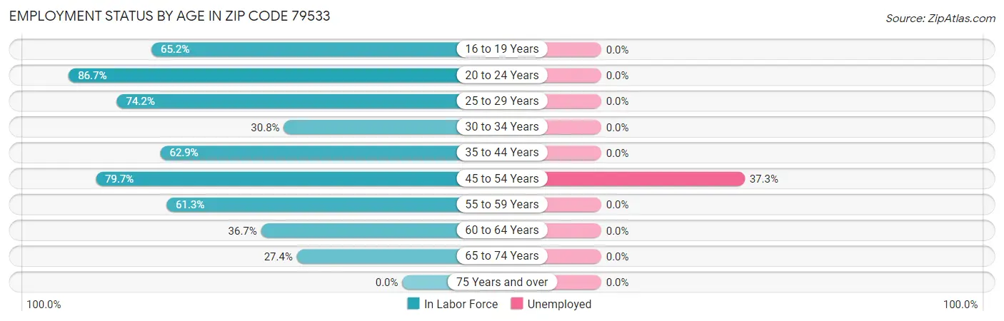 Employment Status by Age in Zip Code 79533