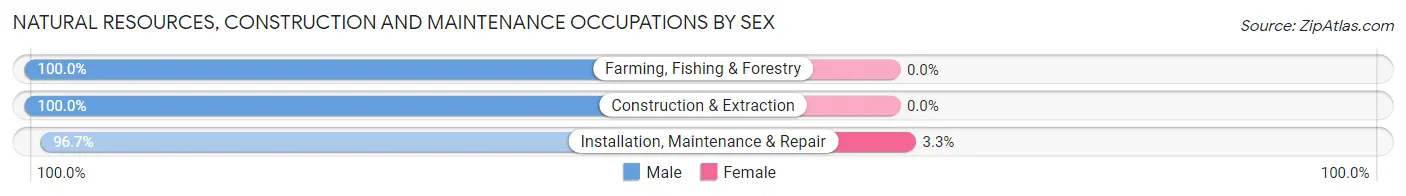 Natural Resources, Construction and Maintenance Occupations by Sex in Zip Code 79545