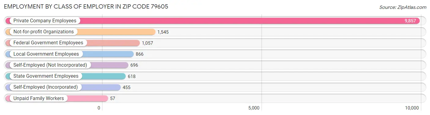 Employment by Class of Employer in Zip Code 79605