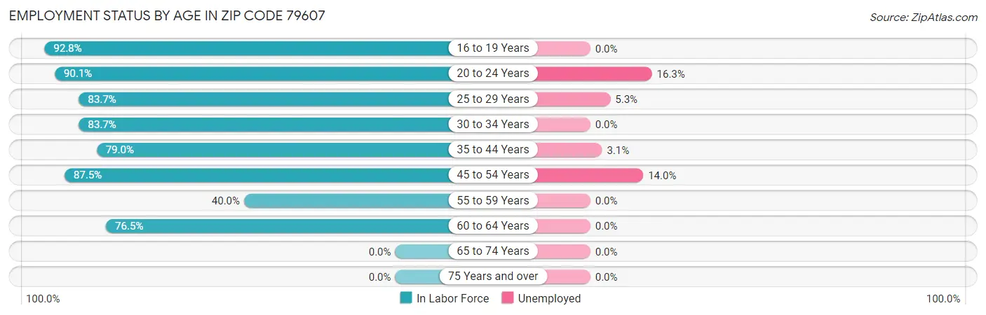 Employment Status by Age in Zip Code 79607