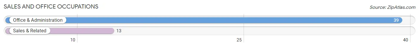 Sales and Office Occupations in Zip Code 79713