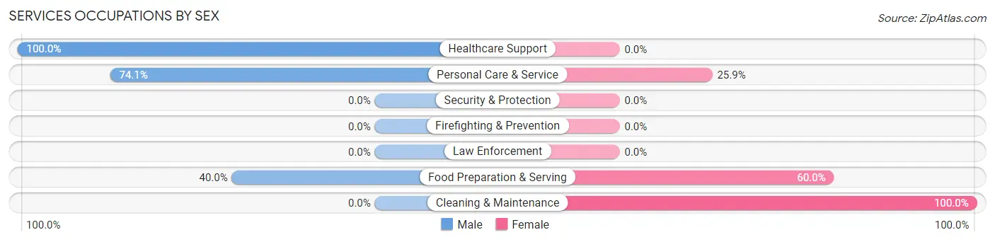 Services Occupations by Sex in Zip Code 79713