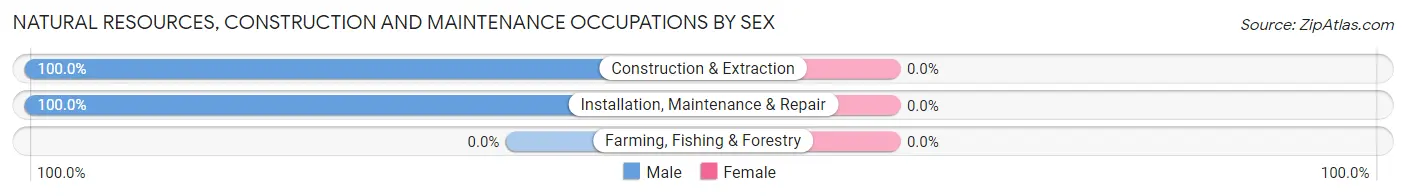 Natural Resources, Construction and Maintenance Occupations by Sex in Zip Code 79777