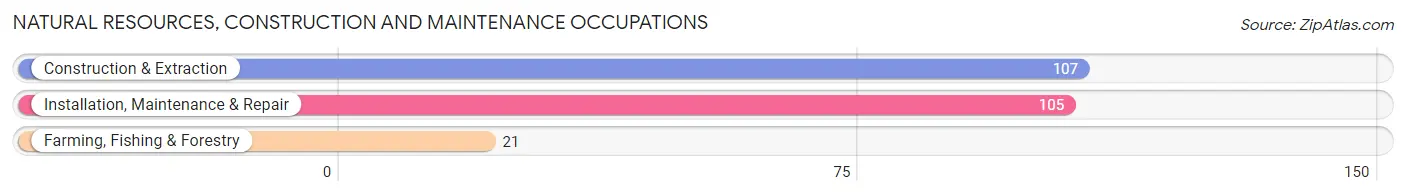 Natural Resources, Construction and Maintenance Occupations in Zip Code 79838